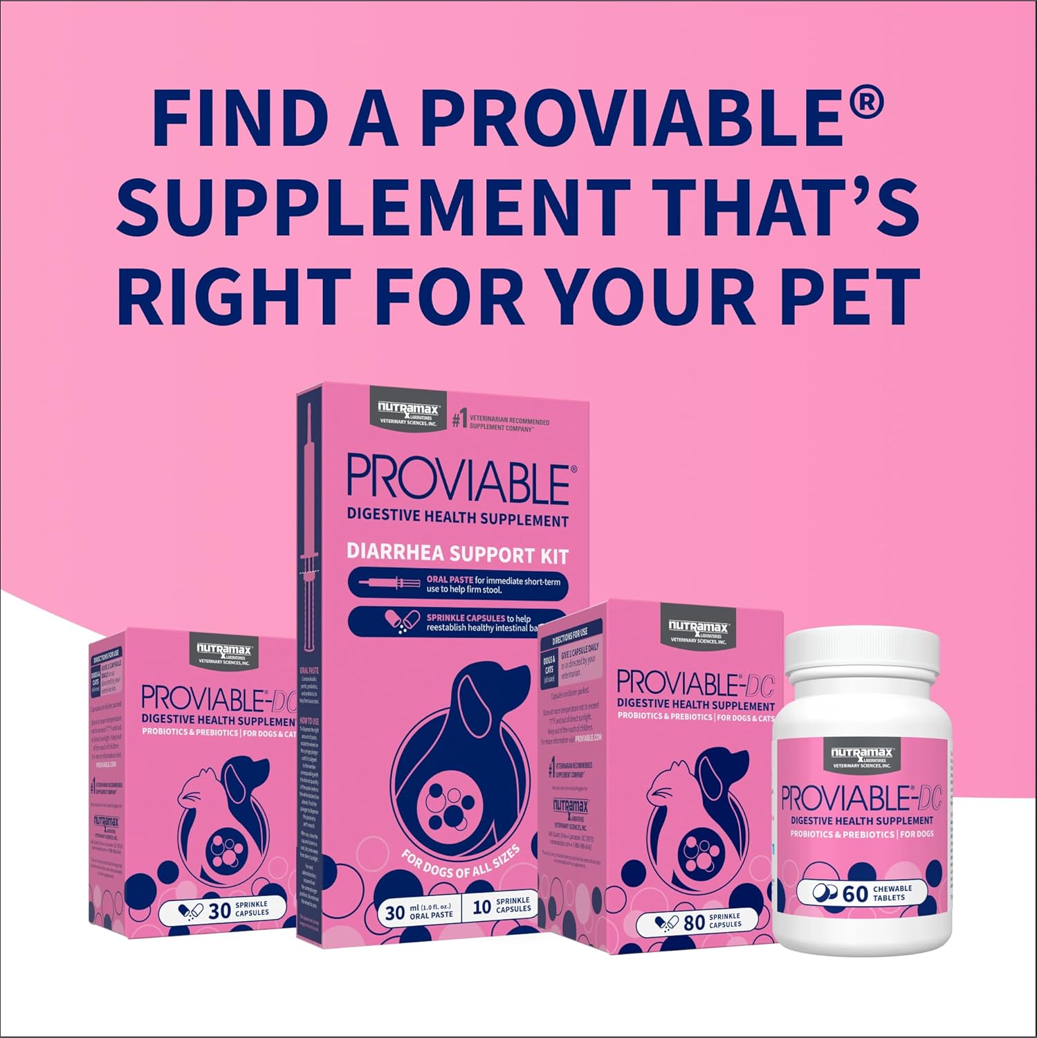 Nutramax Proviable Probiotics for Dogs and Cats, Daily Digestive Health Supplement with Multiple Strains of Bacteria, Cat and Dog Probiotics Plus Prebiotics, 80 Capsules - Image 10