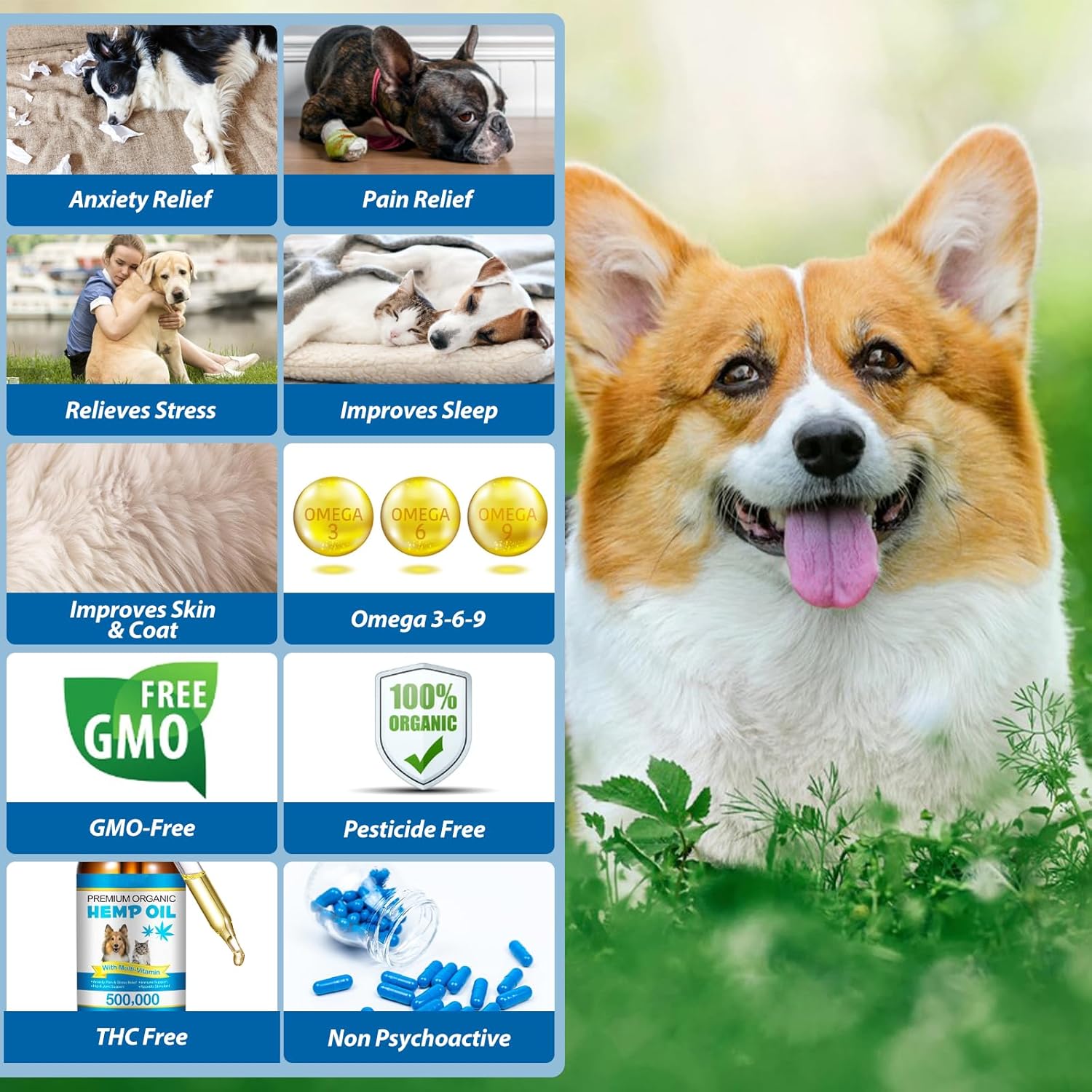 Oil for Dogs & Cats 60ML,Pet Oil for Pain,Skin,Arthritis Pain,Pain Relief,Calming,Omega 3,6,9 for Dog Emotions,Barking & Dog Joints,Supports & Maintains Healthy Joints (1 Pack, Blue) - Image 7