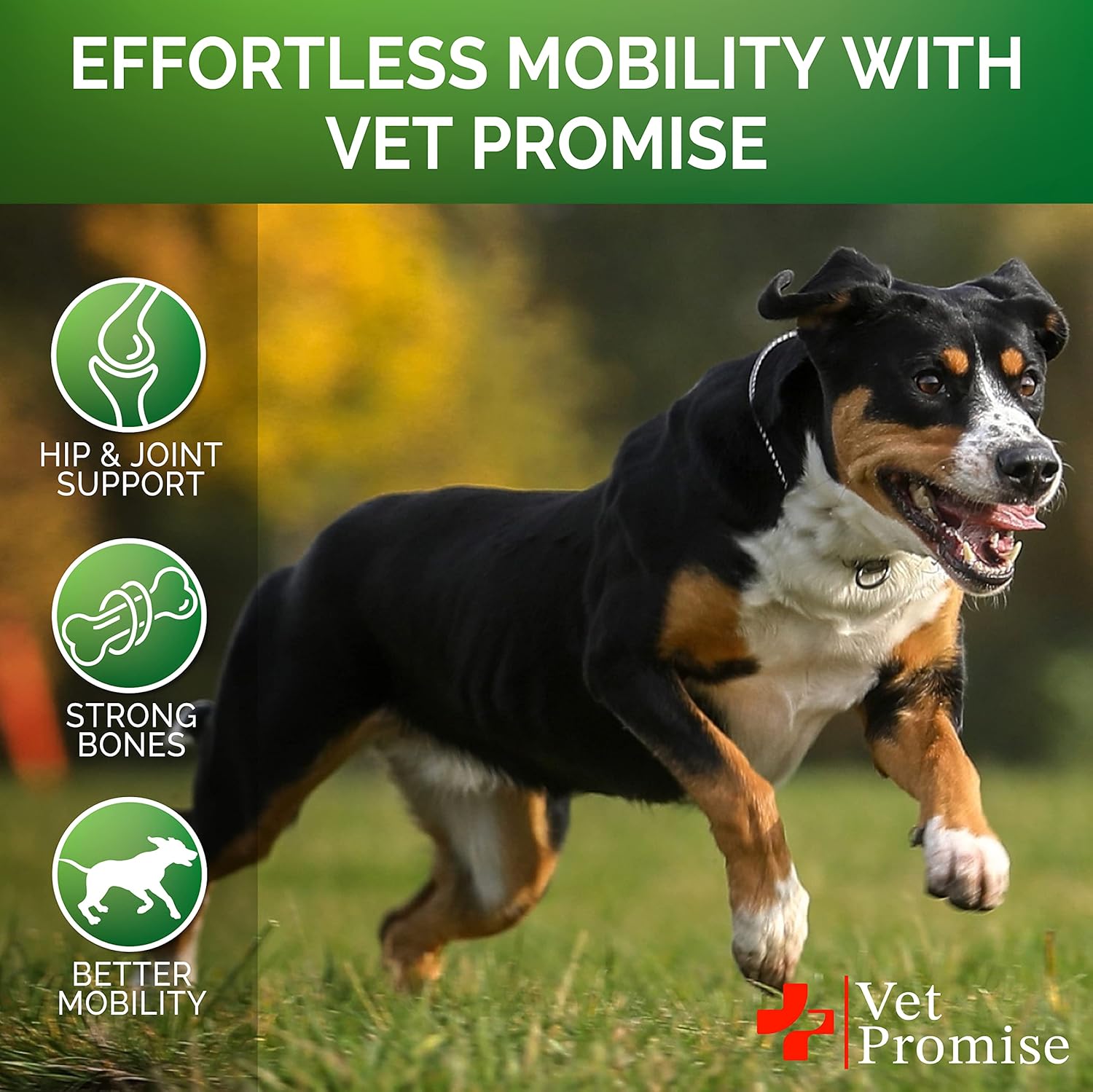 Vet Promise Hemp Hip and Joint Support Supplement for Dogs - Glucosamine for Dogs - Hemp Oil, MSM, Chondroitin - Support for Joint Pain Relief and Health - 120 Soft Chews - Made in USA - Image 4