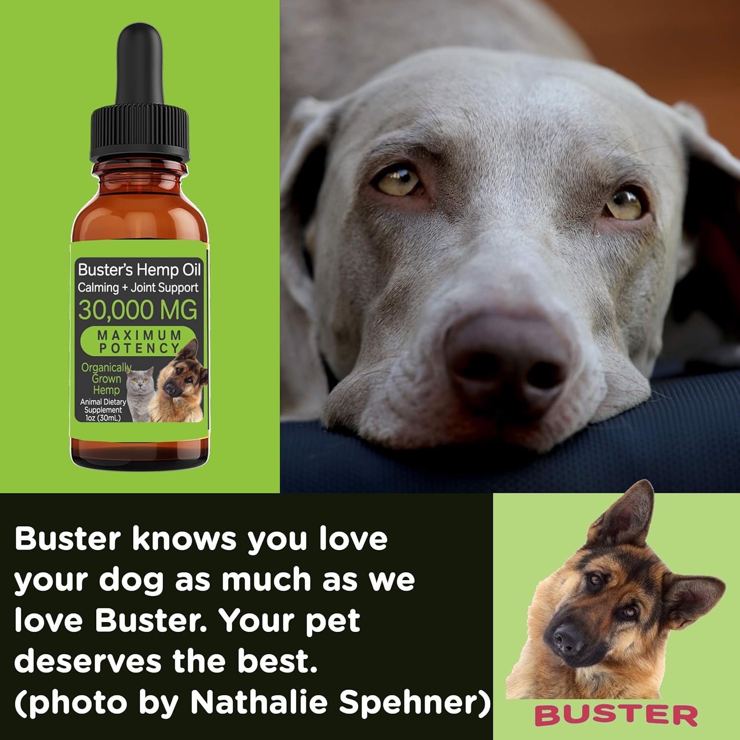 Buster's Organic Hemp Oil Treats for Dogs & Cats - Perfect Ratio Omega 3 & 6 - Made in USA - Hip & Joint Health, Natural Relief, Calming (1-Pack) - Image 4