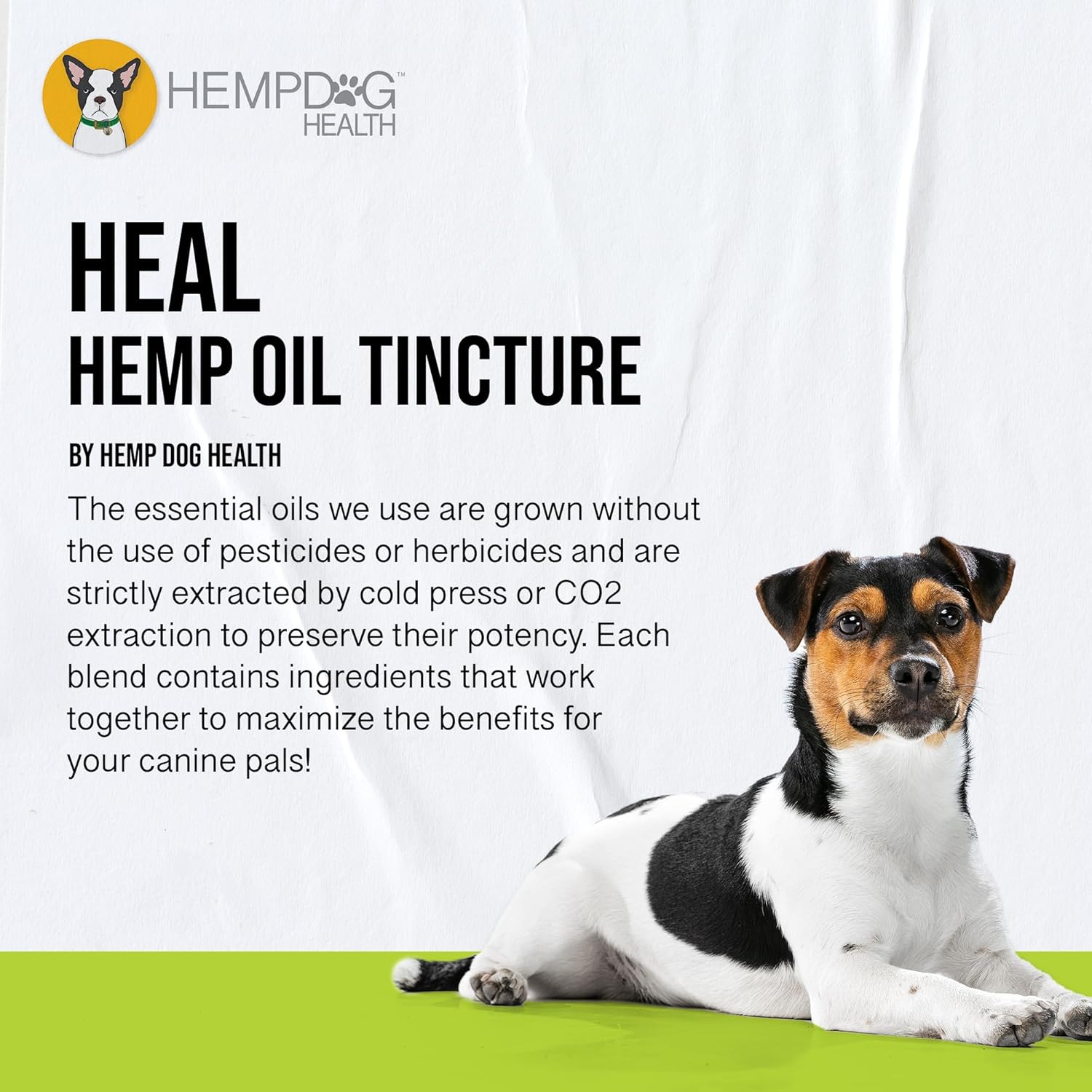 HEAL - Pet Hemp Oil for Dogs - Immune System & Senior Dog Support - Neurological & Adrenal Balance - Daily Wellness Drops - Image 3
