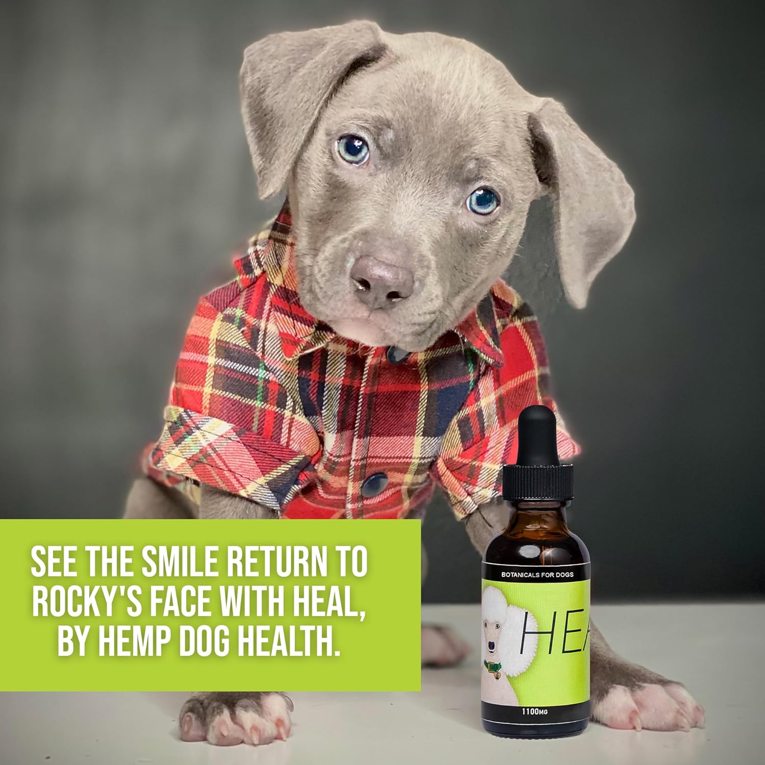 HEAL - Pet Hemp Oil for Dogs - Immune System & Senior Dog Support - Neurological & Adrenal Balance - Daily Wellness Drops - Image 6