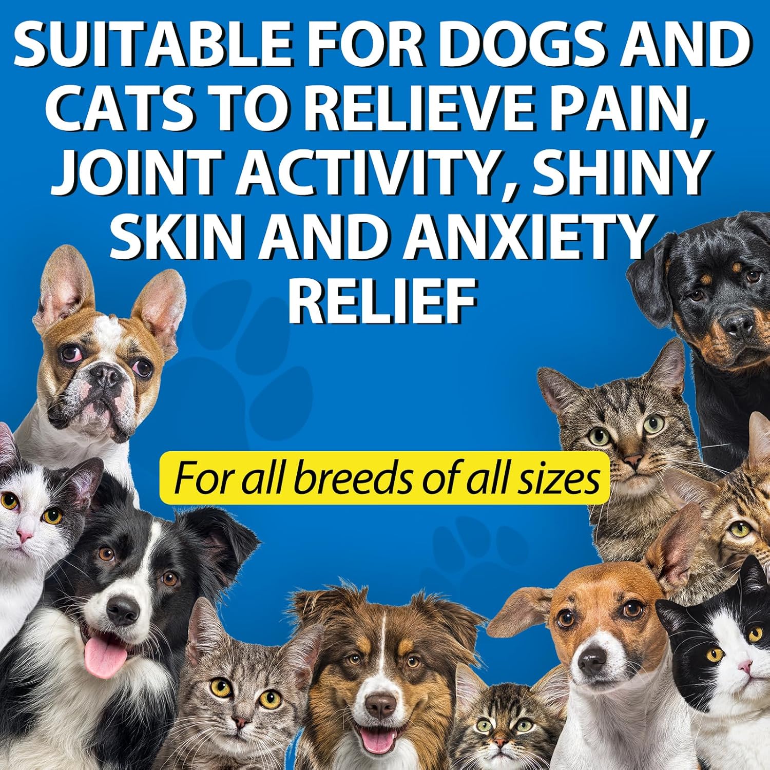 Oil for Dogs & Cats 60ML,Pet Oil for Pain,Skin,Arthritis Pain,Pain Relief,Calming,Omega 3,6,9 for Dog Emotions,Barking & Dog Joints,Supports & Maintains Healthy Joints (1 Pack, Blue) - Image 2