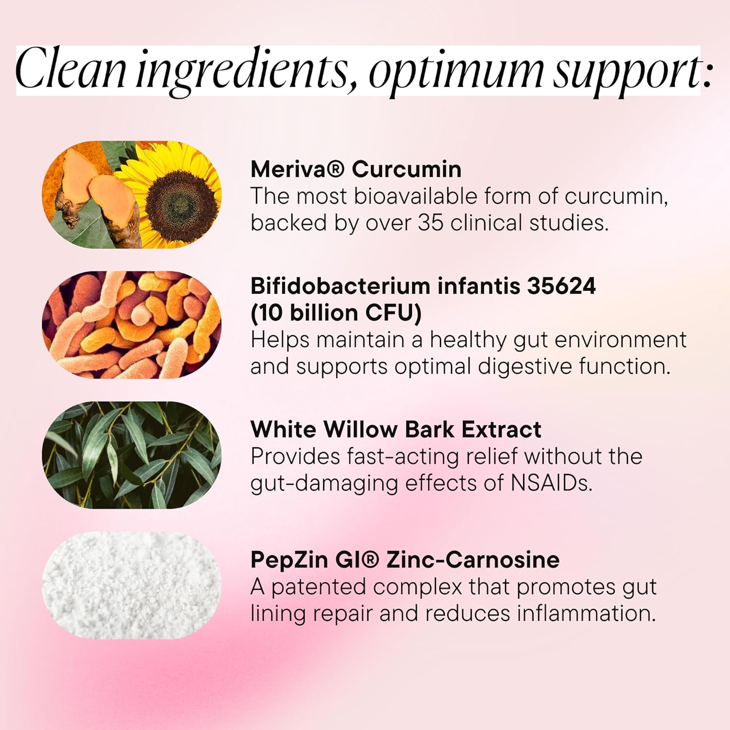 Goodness Lover Inflammation Pro, with 10 Billion CFU for Digestive Support, Curcumin, White Willow bark Extract, Zero fillers, Vegan, 30 Servings - Image 3