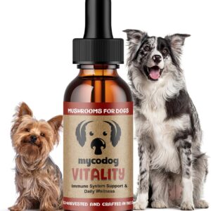 MycoDog Vitality - Mushroom & Adaptogen Supplement for Dogs - Immune Health, Senior Dog, & Daily Wellness Support - Turkey Tail Mushroom for Dogs, Reishi, Chaga