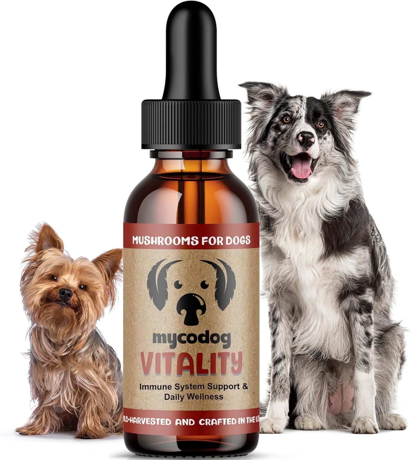 MycoDog Vitality - Mushroom & Adaptogen Supplement for Dogs - Immune Health, Senior Dog, & Daily Wellness Support - Turkey Tail Mushroom for Dogs, Reishi, Chaga