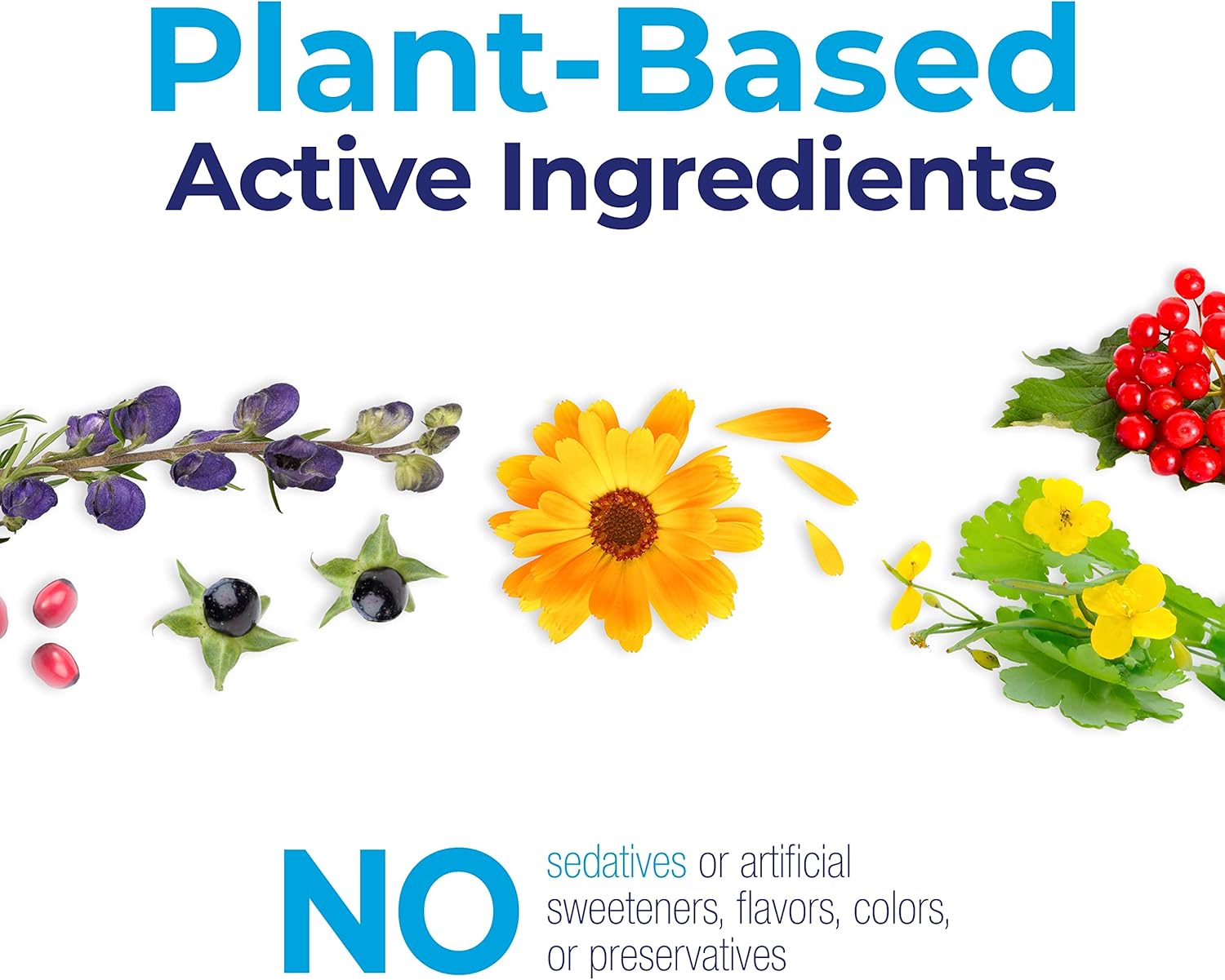 Boiron StressCalm On The Go for Relief of Stress, Anxiousness, Nervousness, Irritability, and Fatigue - 2 Count (160 Pellets) - Image 5