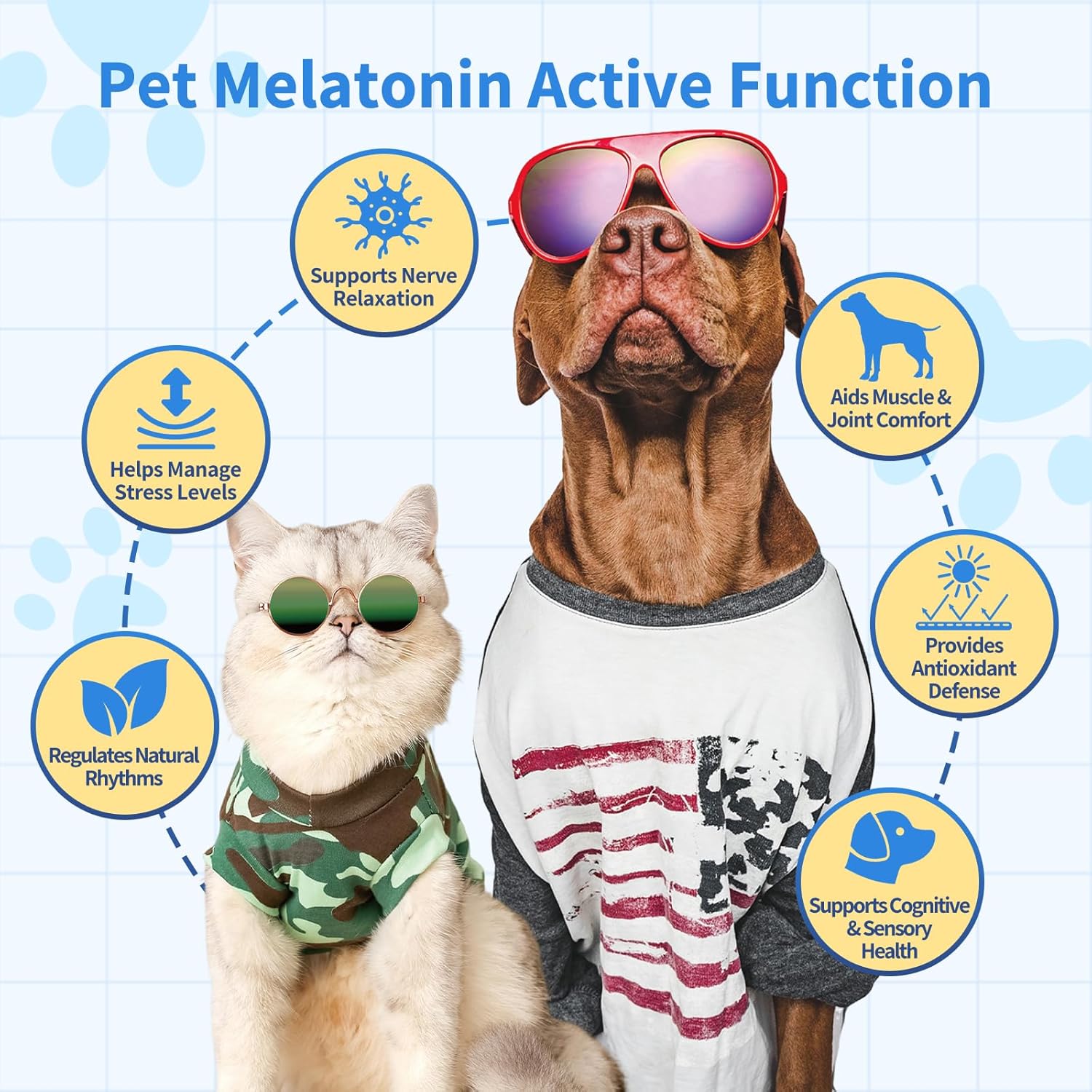 Calming Drops for Dogs & Cats - Image 3