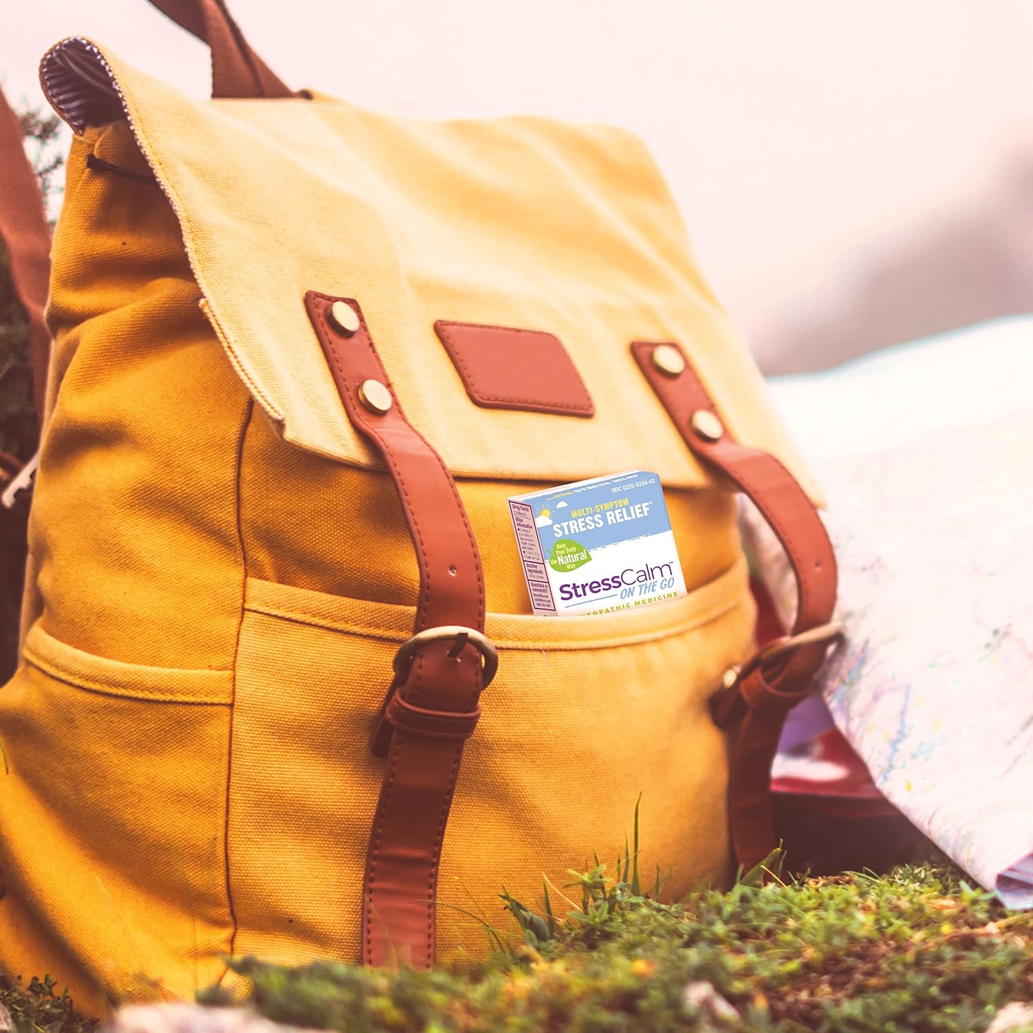 Boiron StressCalm On The Go for Relief of Stress, Anxiousness, Nervousness, Irritability, and Fatigue - 2 Count (160 Pellets) - Image 7