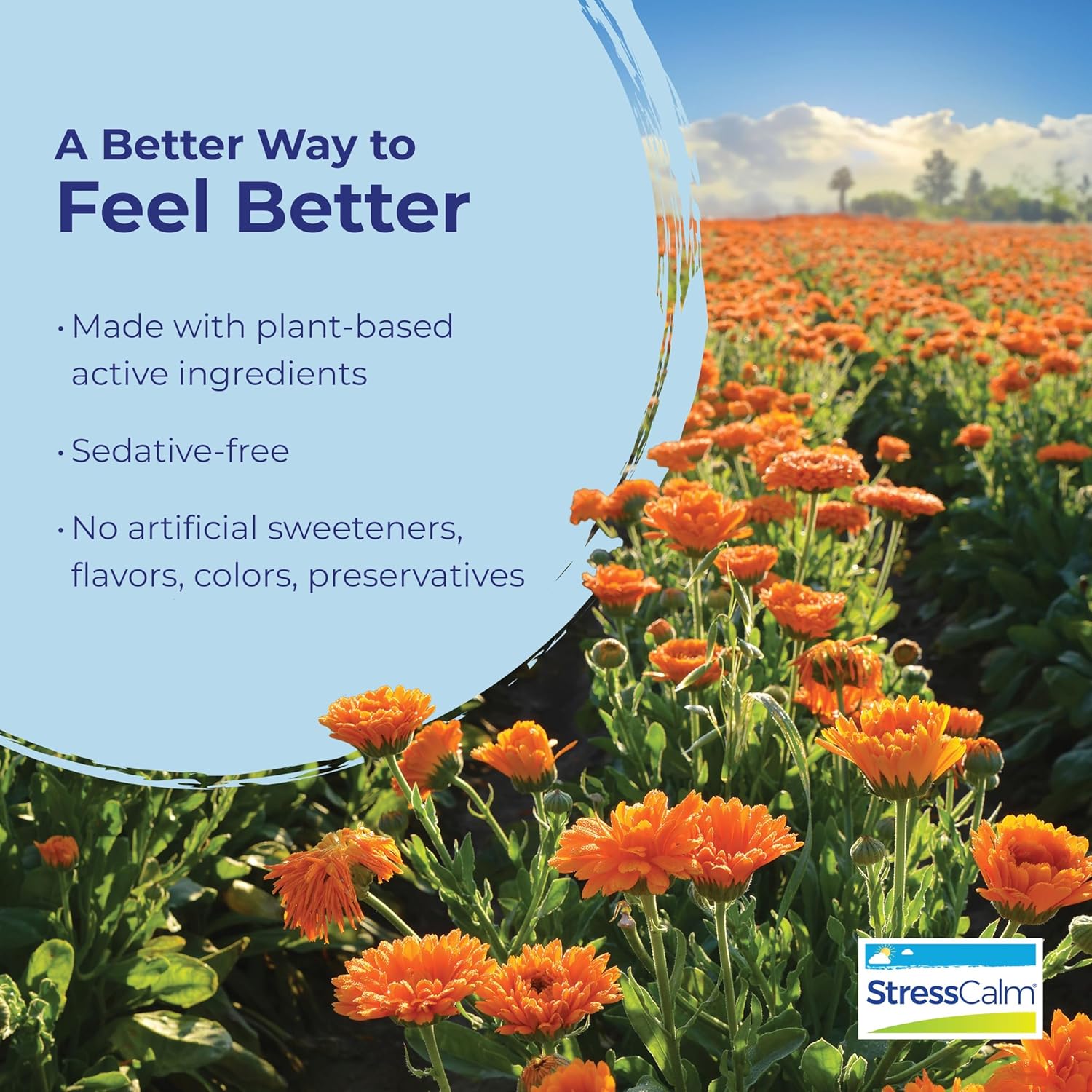 Boiron StressCalm Tablets for Relief of Stress, Anxiousness, Nervousness, Irritability, and Fatigue - 120 Count (2 Pack of 60) - Image 4