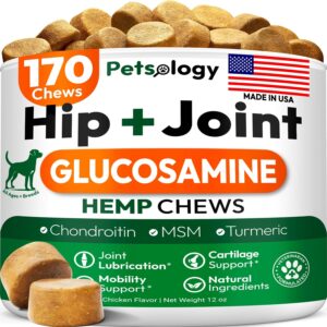 Hemp Hip and Joint Supplement for Dogs - Glucosamine for Dogs - 170 Mobility Support Chews - Advanced Joint Pain Relief Treats with Chondroitin, MSM, Turmeric - Large & Small Breeds - Made in USA