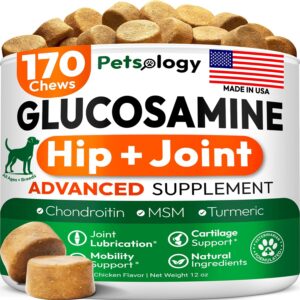 Glucosamine for Dogs - Hip and Joint Supplement for Dogs - 170 Mobility Chews - Glucosamine Chondroitin - MSM - Turmeric - Joint Pain Relief - Advanced Support for Dog Health - Made in USA