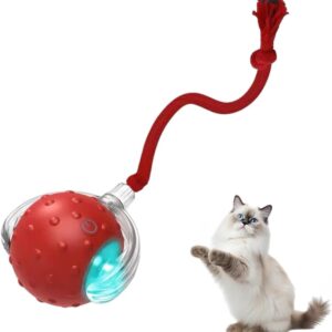 Interactive Cat Toy Ball for Indoor Cats, Strong Driver Fast Rolling on Carpet, Chirping & Motion Activated Automatic Cat Toy (Red)