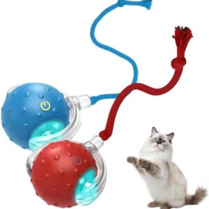 Interactive Cat Toy Ball for Indoor Cats, Strong Driver Fast Rolling on Carpet, Chirping & Motion Activated Automatic Cat Toy (2pcs)