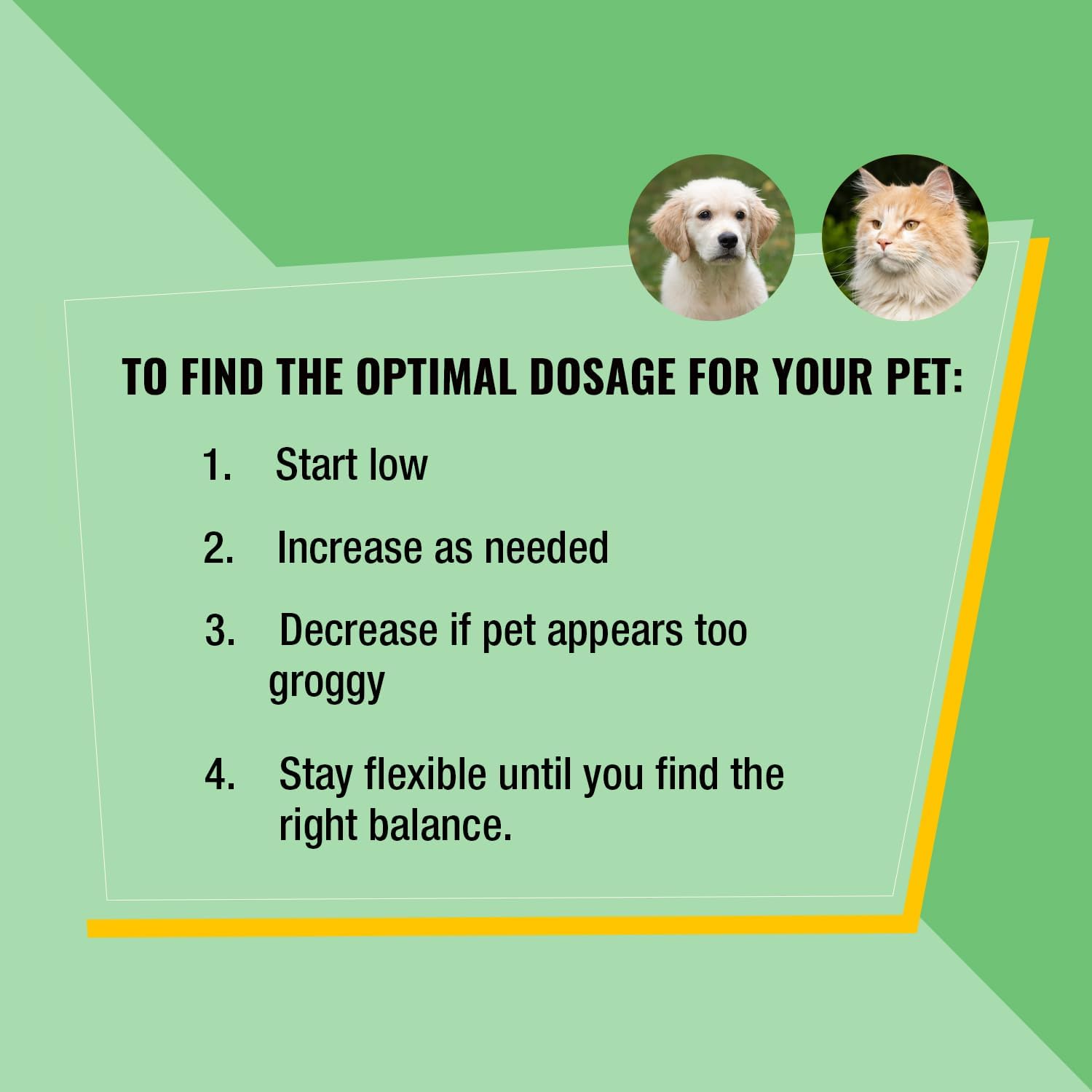 Pet Hemp Oil | Catnip Oil | Dogs and Catsl | Aids with Anxiety, Stress, Pain, Hip, Joint, and Muscle Support for Young to Senior Pets | 120MG Organic Hemp | 100% Natural | Green Planet Hemp - Image 9