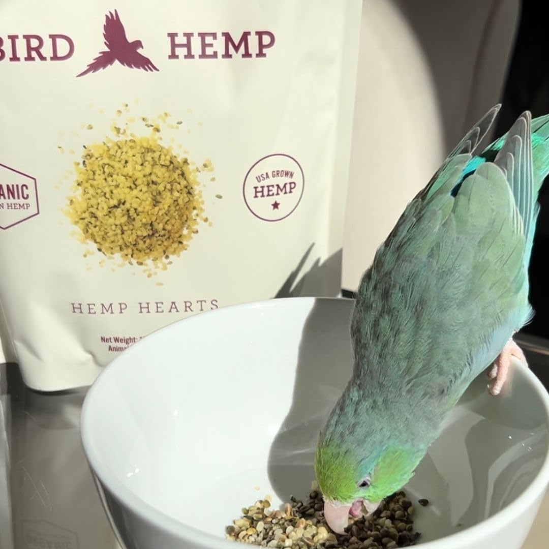 Hemp Well Organic Hemp Hearts for Birds - Reduces Feather Plucking, Promotes Relaxation, Immune Support, Organic, USA Grown, GMO Free – 8 Ounces - Image 4