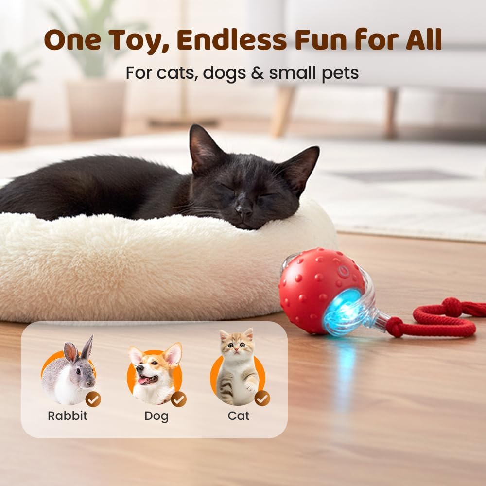 Interactive Cat Toy Ball for Indoor Cats, Strong Driver Fast Rolling on Carpet, Chirping & Motion Activated Automatic Cat Toy (2pcs) - Image 7