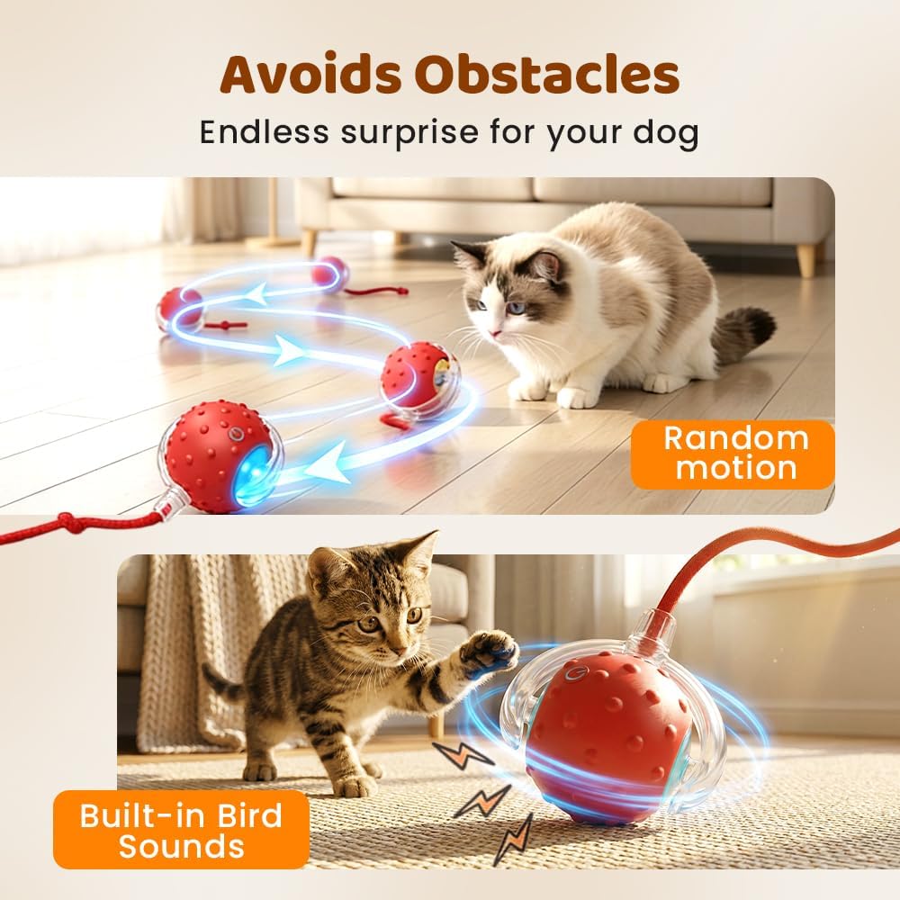 Interactive Cat Toy Ball for Indoor Cats, Strong Driver Fast Rolling on Carpet, Chirping & Motion Activated Automatic Cat Toy (2pcs) - Image 3