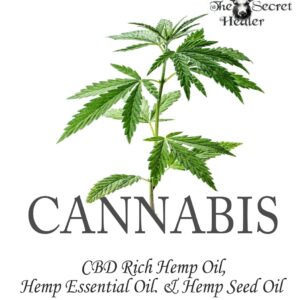 Cannabis: CBD Rich Hemp Oil, Hemp Essential Oil and Hemp Seed Oil: The Cannabis Medicines of Aromatherapy's Own Medical Marijuana (Black and White Edition) (The Secret Healer Oils Profiles)