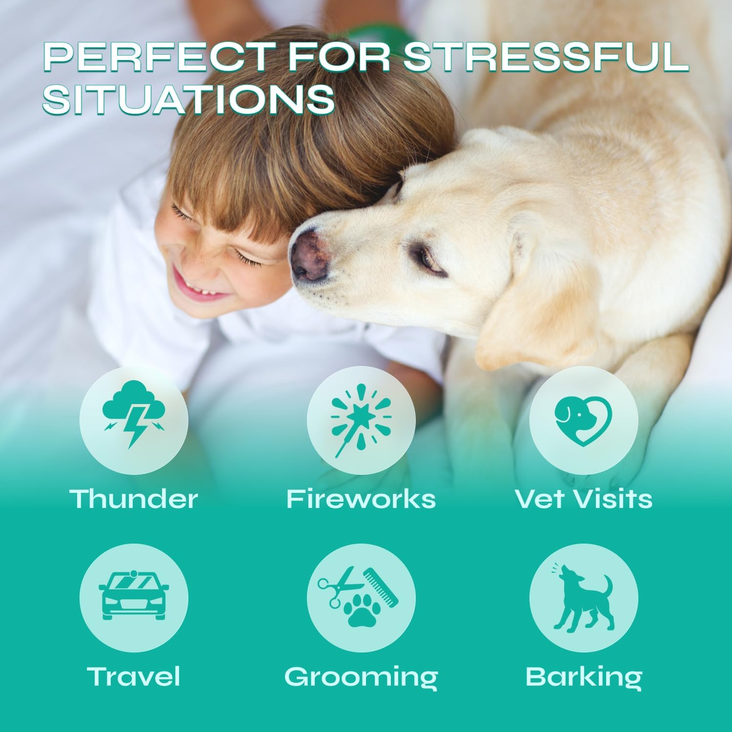 Dog Calming Chews with Hemp - 17,810 mg Hemp Oil per Pack - Soft Calming Chews for Dogs with Melatonin - Relaxation Support for Travel, Grooming, Separation, Thunder, Fireworks - 130 Chicken Bites - Image 3
