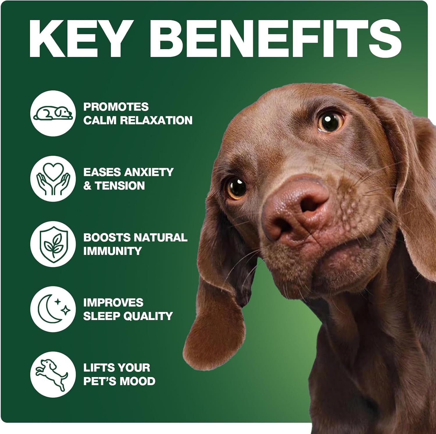 180 Soft Calming Chews for Dogs, Dog Calming Treats, Natural Dog Supplements, Helps with Anxiеty Rеlief, Separation, Barking, Strеss, Fireworks, Travel, Composure, - Image 4