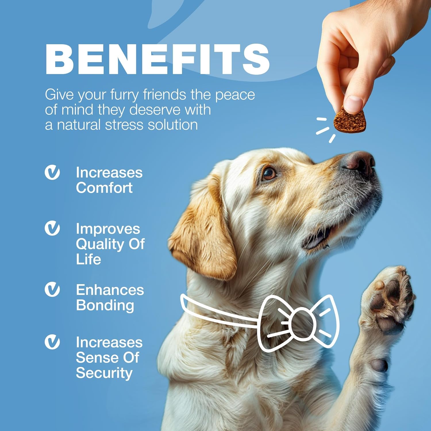 Hemp Calming Chews for Dogs - Dog Calming Treats - Anxiety Relief for Dogs with L-Theanine, Chamomile Extract, Valerian Root - Dog Anxiety Relief for Travel, Vet Visits, Thunderstorms, Nail Trimming - Image 9