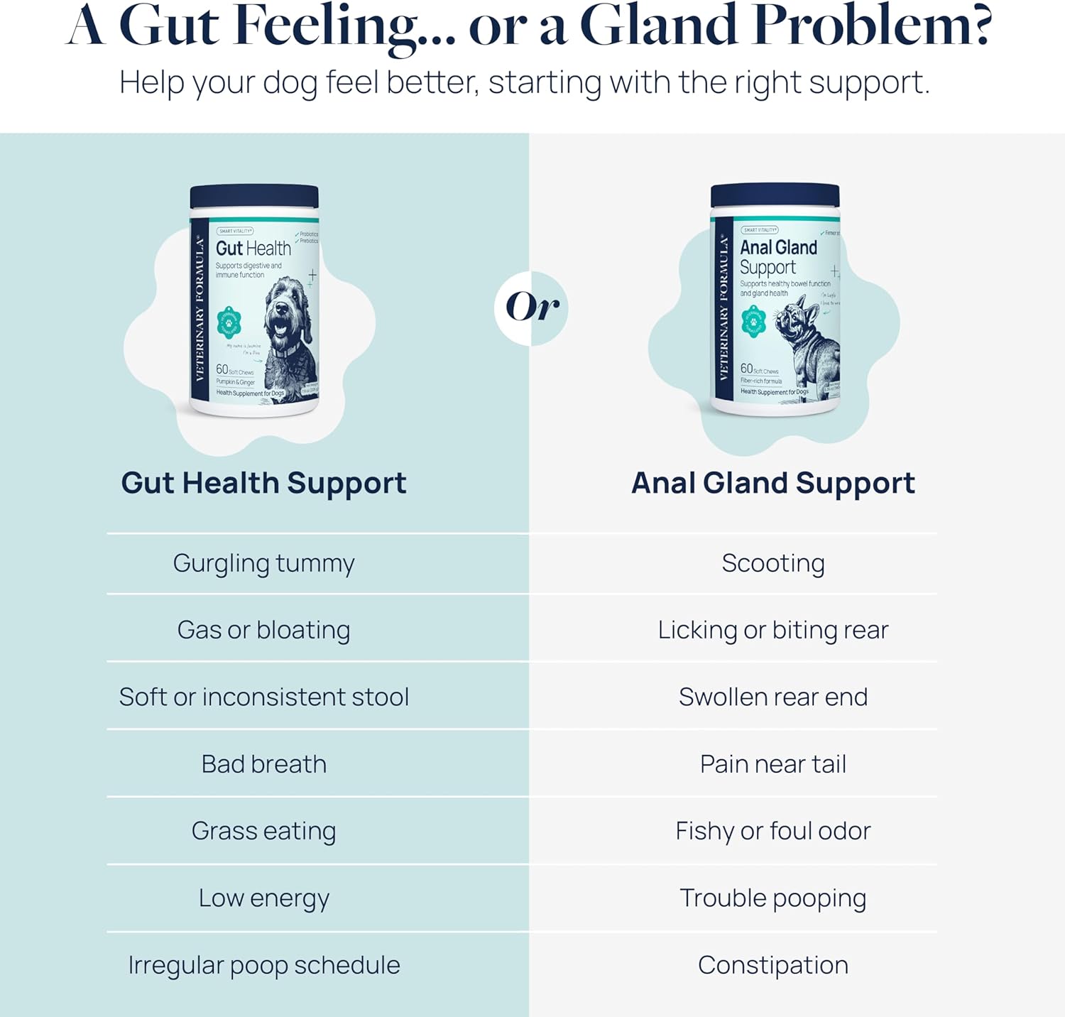 Veterinary Formula Anal Gland Support for Dogs – Vet-Formulated No Scoot Chews with Pumpkin, Ginger, Agave Inulin & Probiotics – Supports Scooting, Stool Quality & Digestive Health, 60 Soft Chews - Image 4