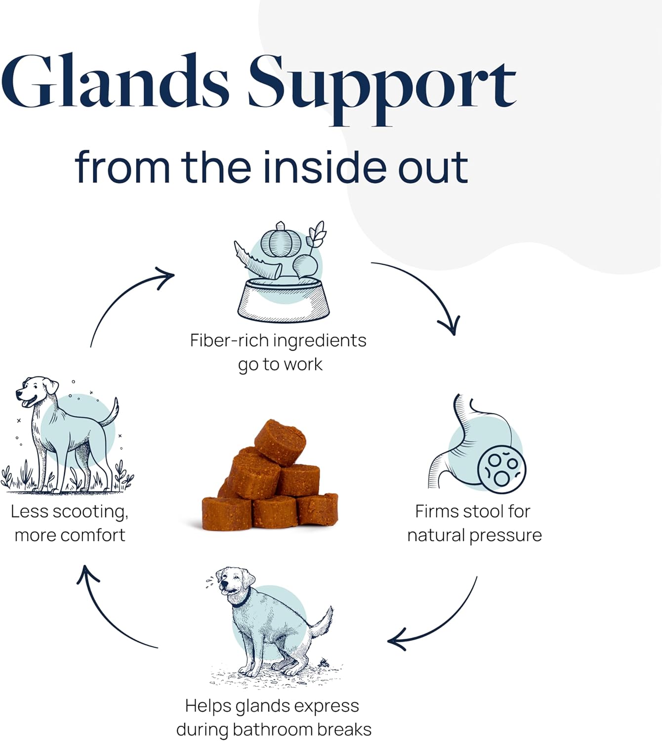 Veterinary Formula Anal Gland Support for Dogs – Vet-Formulated No Scoot Chews with Pumpkin, Ginger, Agave Inulin & Probiotics – Supports Scooting, Stool Quality & Digestive Health, 60 Soft Chews - Image 3