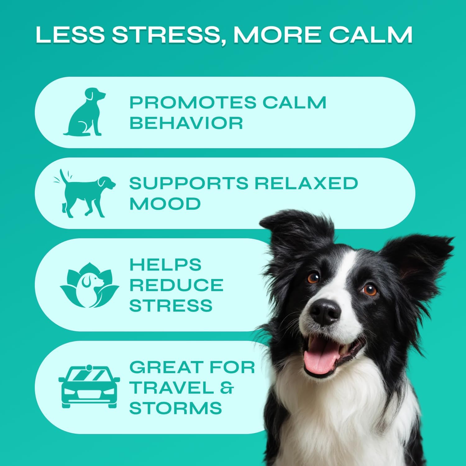 Dog Calming Chews with Hemp - 17,810 mg Hemp Oil per Pack - Soft Calming Chews for Dogs with Melatonin - Relaxation Support for Travel, Grooming, Separation, Thunder, Fireworks - 130 Chicken Bites - Image 2