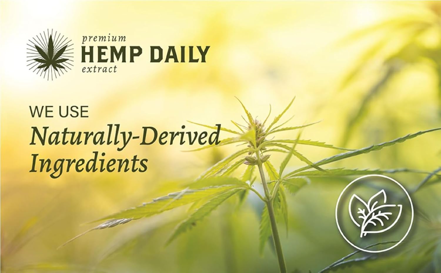 Premium Hemp Extract Daily Ultimate Cream - Menthol, Argan, Jojoba, Rosehips - Lightweight, Fast-Absorbing Moisturizing Topical Lotion with Essential Oils - Sandalwood, Single 5oz - Image 5