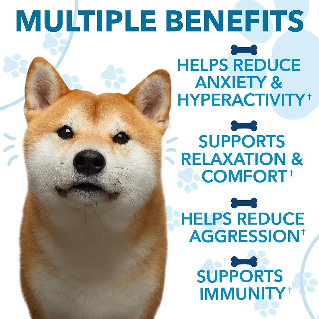 Hemp Calming Chews for Dogs with Anxiety and Stress - Anxiety Relief Chews for Storms, Fireworks, Thunder, Barking, Separation - Valerian, L-Tryptophan, Hemp Oil - Chicken - 120 Dog Calming Treats - Image 6