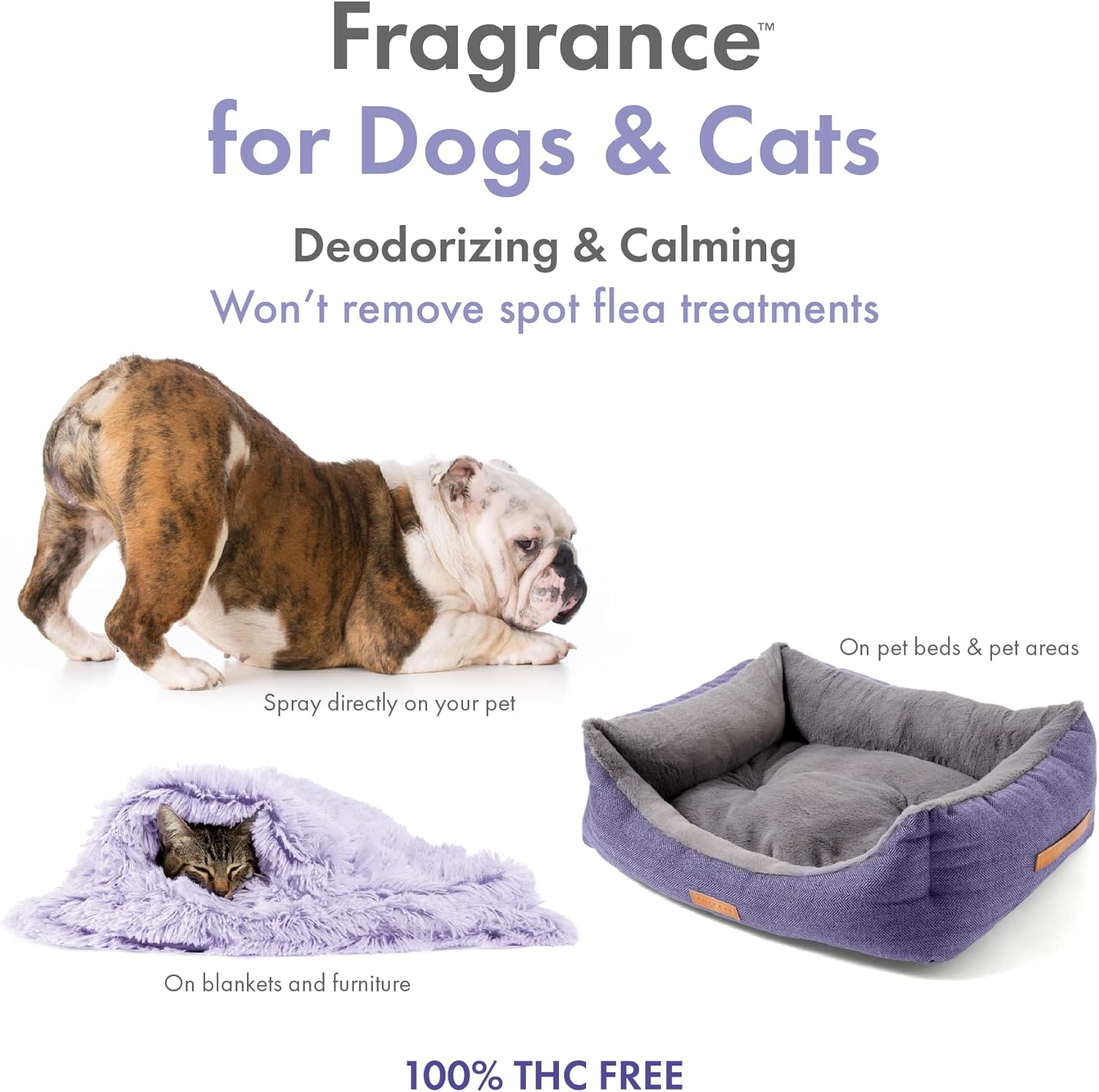 Petkin Hemp Fragrance for Dogs and Cats - with Hemp Oil & Calming Lavender Extract, 8 oz - Soothes, Calms & Conditions - Keeps Pet Smelling Great - for Home, Travel & Use on Pet Bedding - Image 3