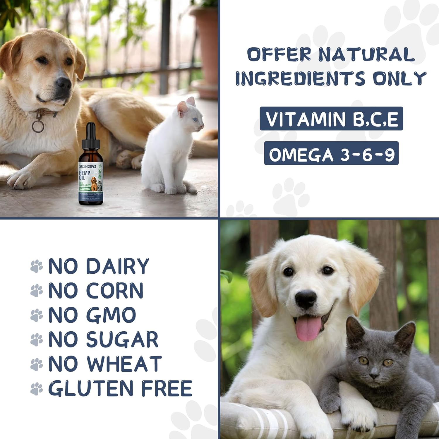 Hemp Oil for Dogs and Cats - Image 5