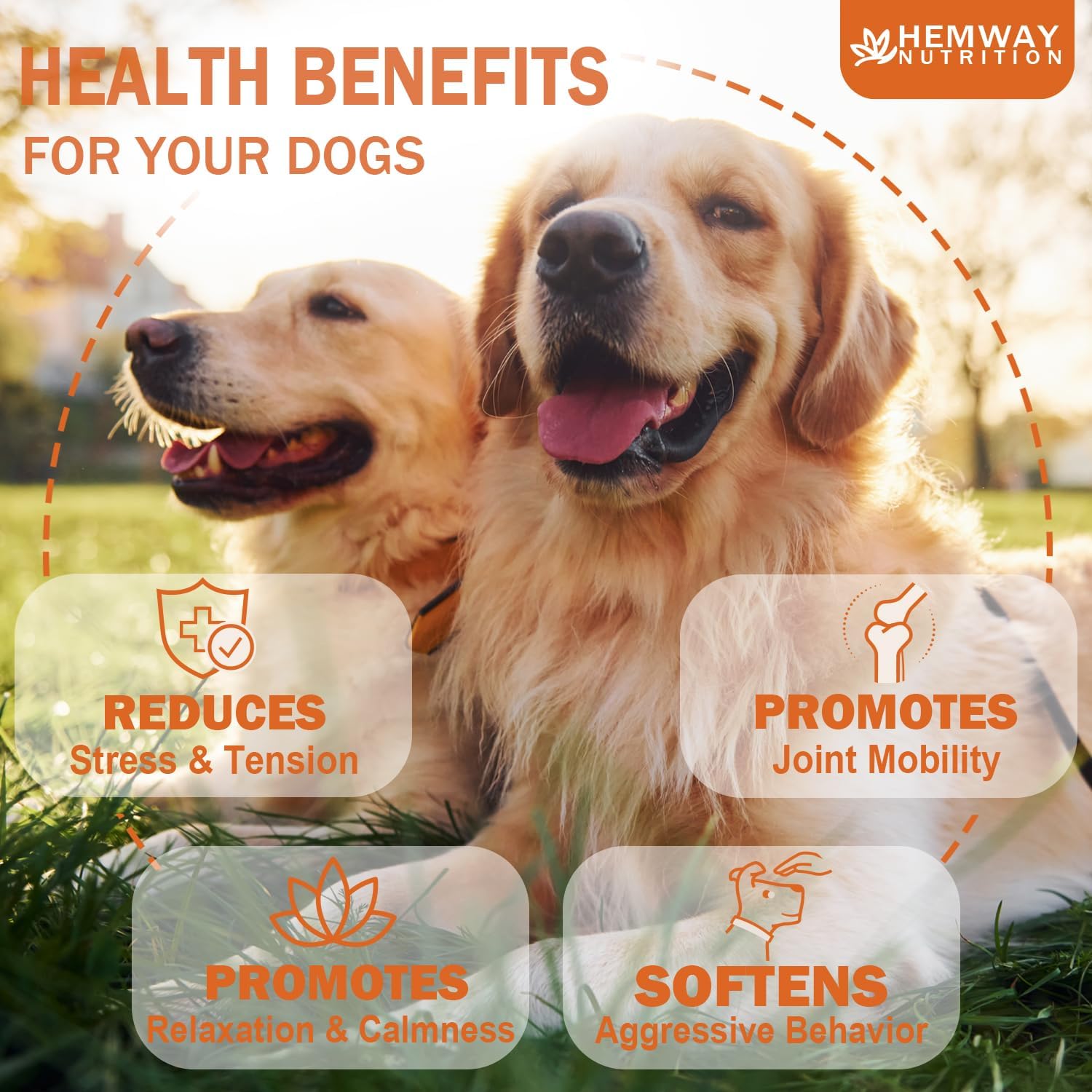 Hеmp Calming Chews for Dogs - Chicken Flavor Soft Chews - Dog Calming Treats Supplement for Storm Anxiety, Sleep, Relaxing, Separation Aid, Stress, Hyperactivity Relief - All Ages & Sizes - 240 Count - Image 2
