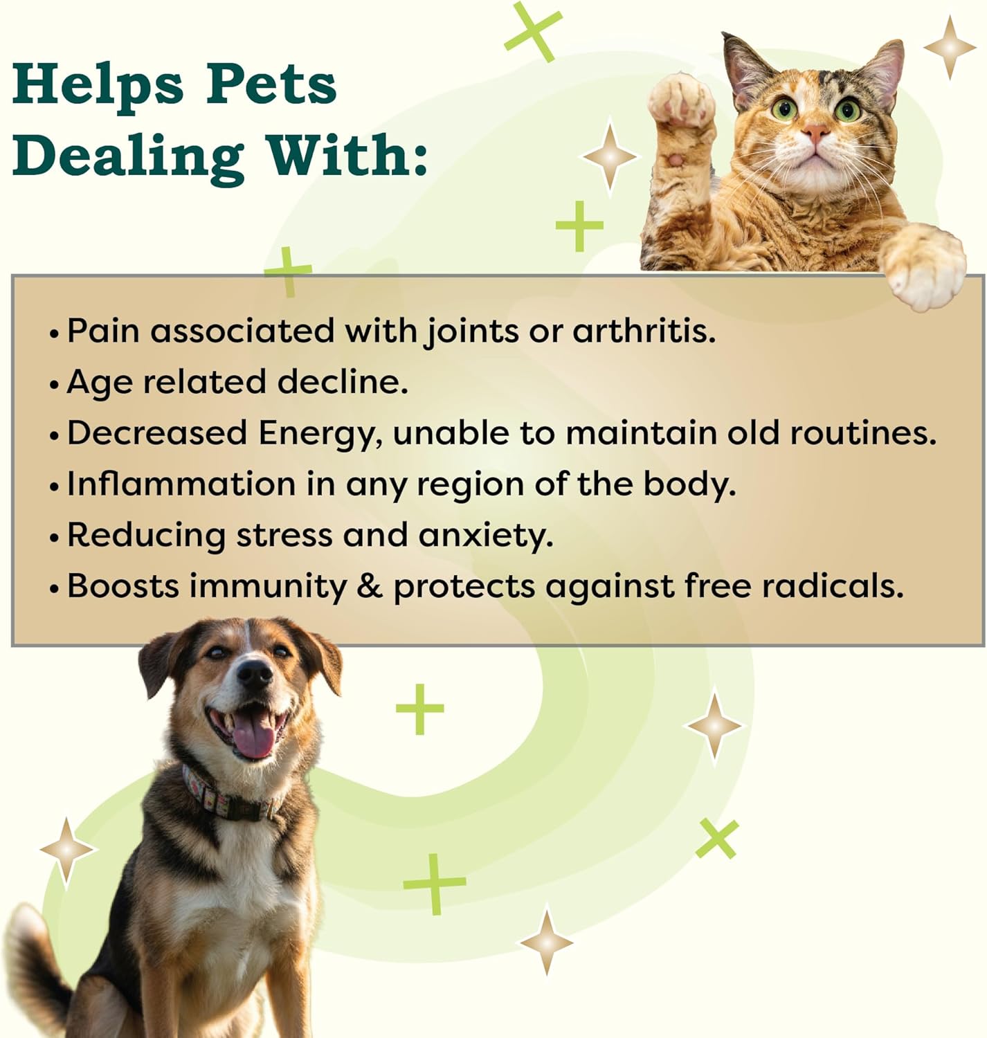RestoraPet PM Formula Organic Wellness Oil Dogs and Cats 600mg Anti-Inflammatory Liquid Drops Promote Joint Pain Relief and Mobility with Organic Turmeric Curcumin CoQ10 – Bacon Flavor 2 oz. - Image 3