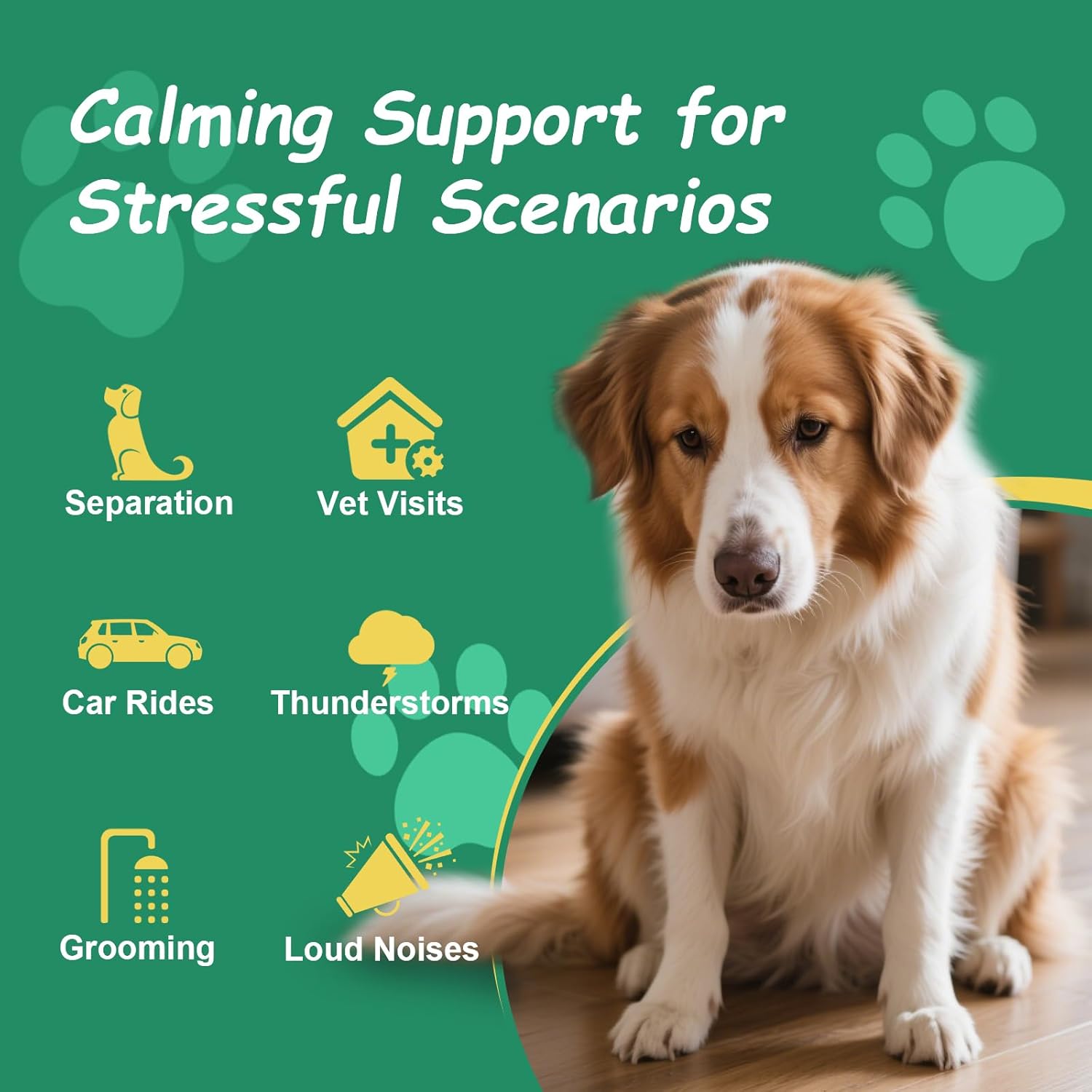 Неmр Calming Chews for Dogs, Anxiety Relief, Sleep Calming Aid, Health & Wellness Supplements for Dog Separation Barking, Chicken Flavor, 180 Chews for All Breeds Ages - Image 2