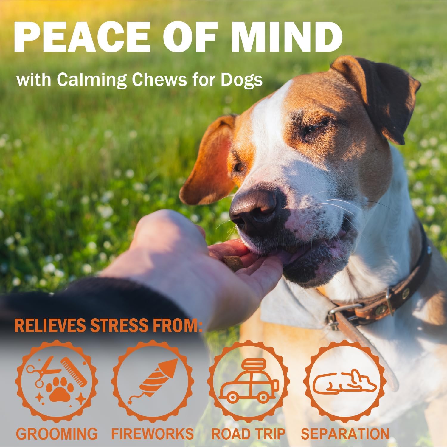 Hеmp Calming Chews for Dogs - Chicken Flavor Soft Chews - Dog Calming Treats Supplement for Storm Anxiety, Sleep, Relaxing, Separation Aid, Stress, Hyperactivity Relief - All Ages & Sizes - 240 Count - Image 5