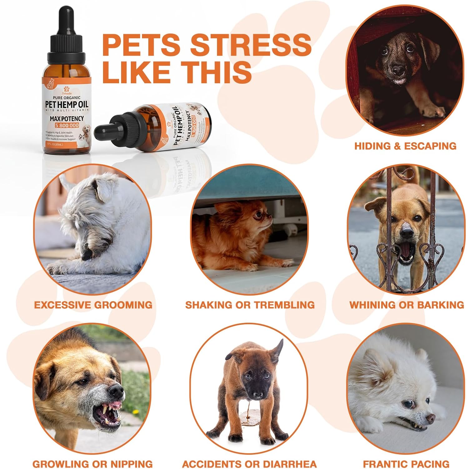 Неmp Oil for Dogs Cats (2-Pack), B0GVNK6SWG, Organic Dog Anxiеty Relief B0GVNK6SWG - Image 3