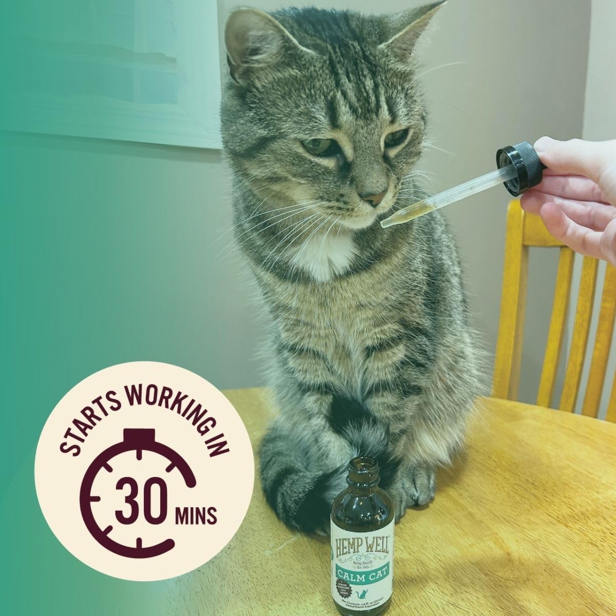 Hemp Well Calm Oil for Cats – Natural Calming Aid for Anxiety, Travel & Stress – Supports Relaxation, Reduces Unwanted Behavior & Grooming Issues – Organic Hemp Formula – 2 oz - Image 3