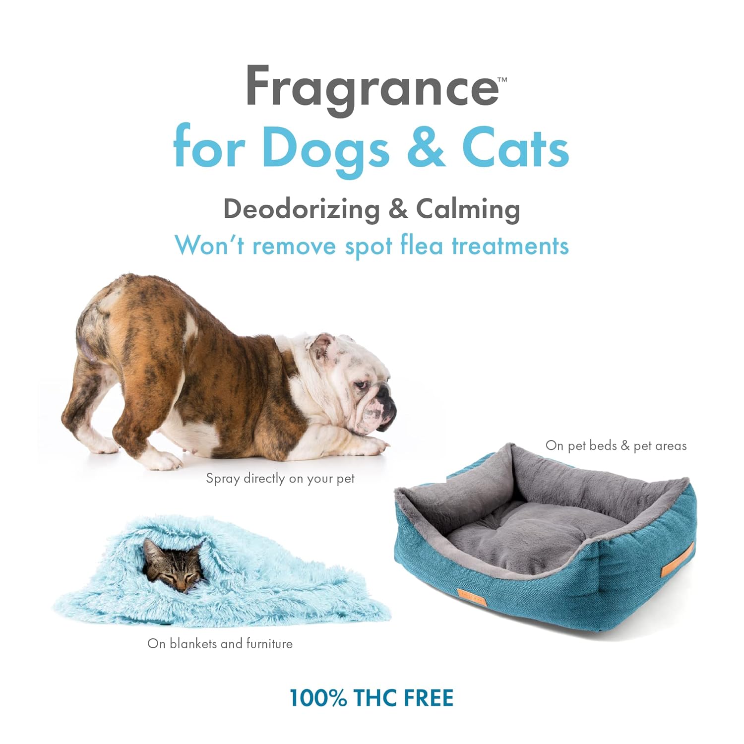 Petkin Hemp Fragrance for Dogs and Cats - With Hemp Oil & Soothing Vanilla Extract, 8 oz - Soothes, Calms & Conditions - Keeps Pet Smelling Great - For Home, Travel & Use on Pet Bedding - Image 3