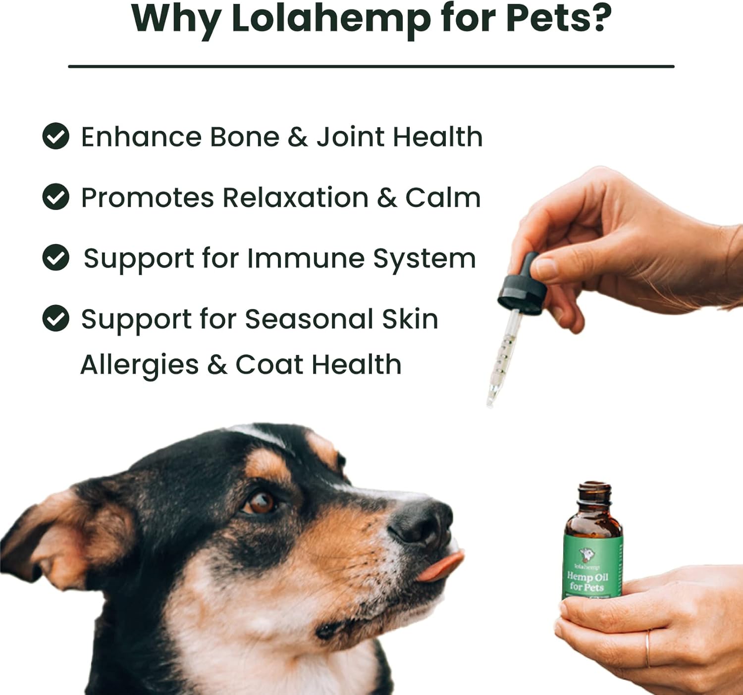 Lolahemp Hemp Oil for Dogs & Cats - Made in USA at Family Farm - Natural Hemp Oil for Joint Support, Promoting Mobility, Relieving Discomfort and Calming Supplement for Promoting Relaxation - Image 2