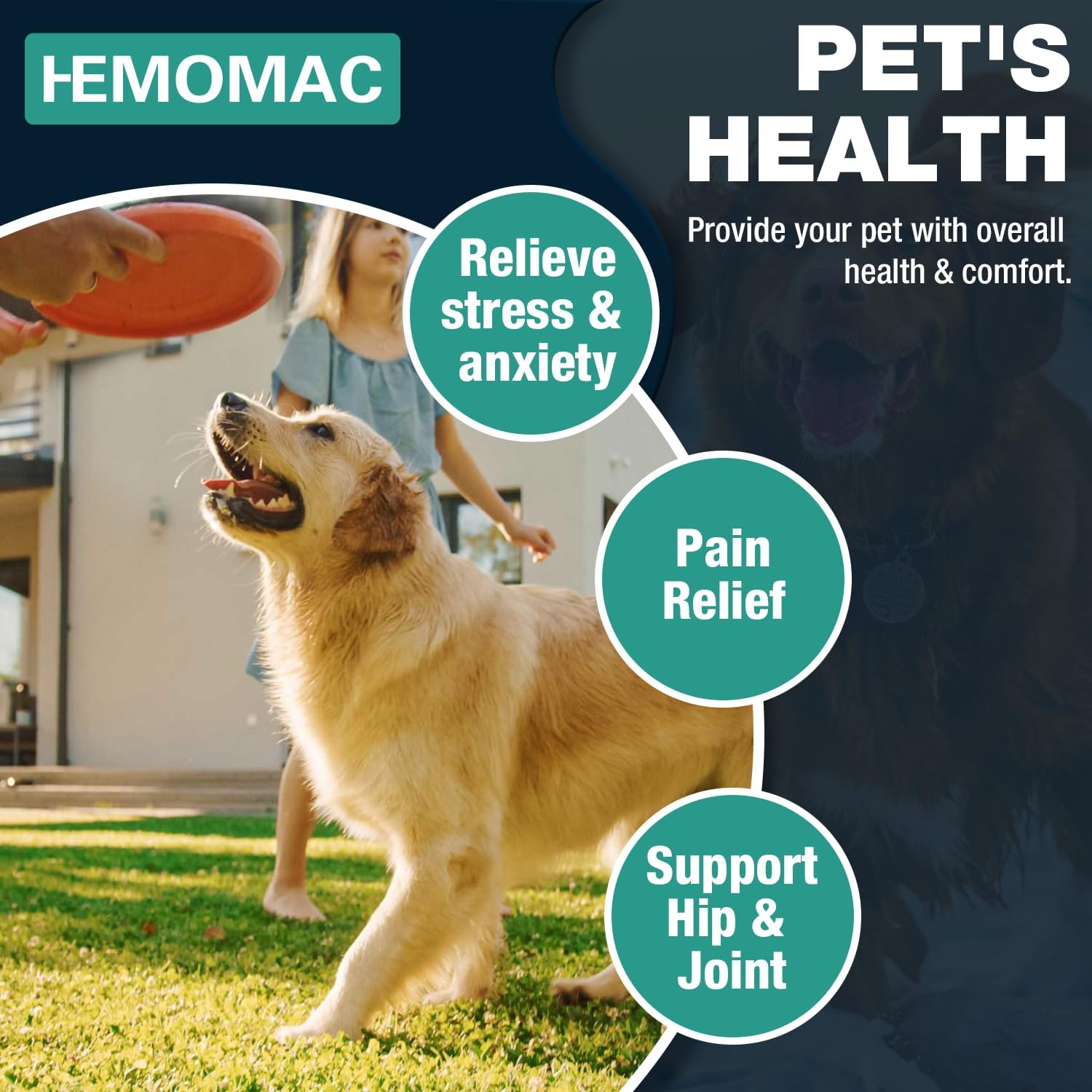 Hemp Oil for Dogs & Cats - Hip Joints Support Gluten Free Non-GMO 2-Pack - Image 5