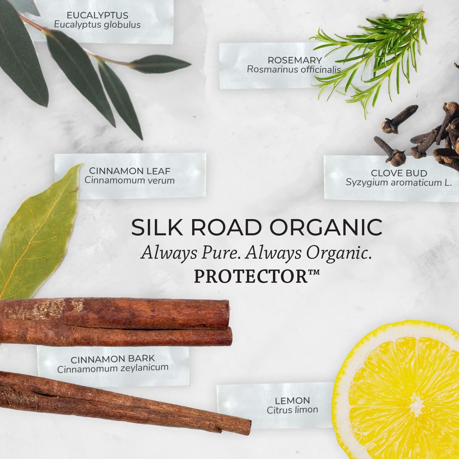 Silk Road Organic Protector Essential Oil Immunity Blend Roll On, Purifying Thieves Oil Formula, 100% Pure USDA Certified Clove Bud, Cinnamon Bark, Rosemary, Lemon, Eucalyptus - 10 ml Roller - Image 7