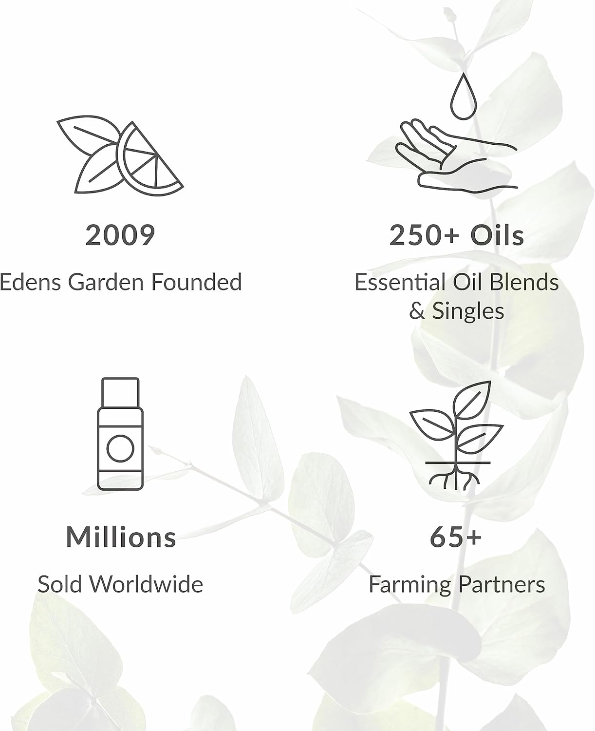 Edens Garden Inflammation Aid Essential Oil Roll-On Blend- 100% Pure Premium Grade, Natural, Therapeutic, Aromatherapy, Kid & Skin Safe, The Best for Wellness, Tension Pre-Diluted 10 ml (.33 fl oz) - Image 6