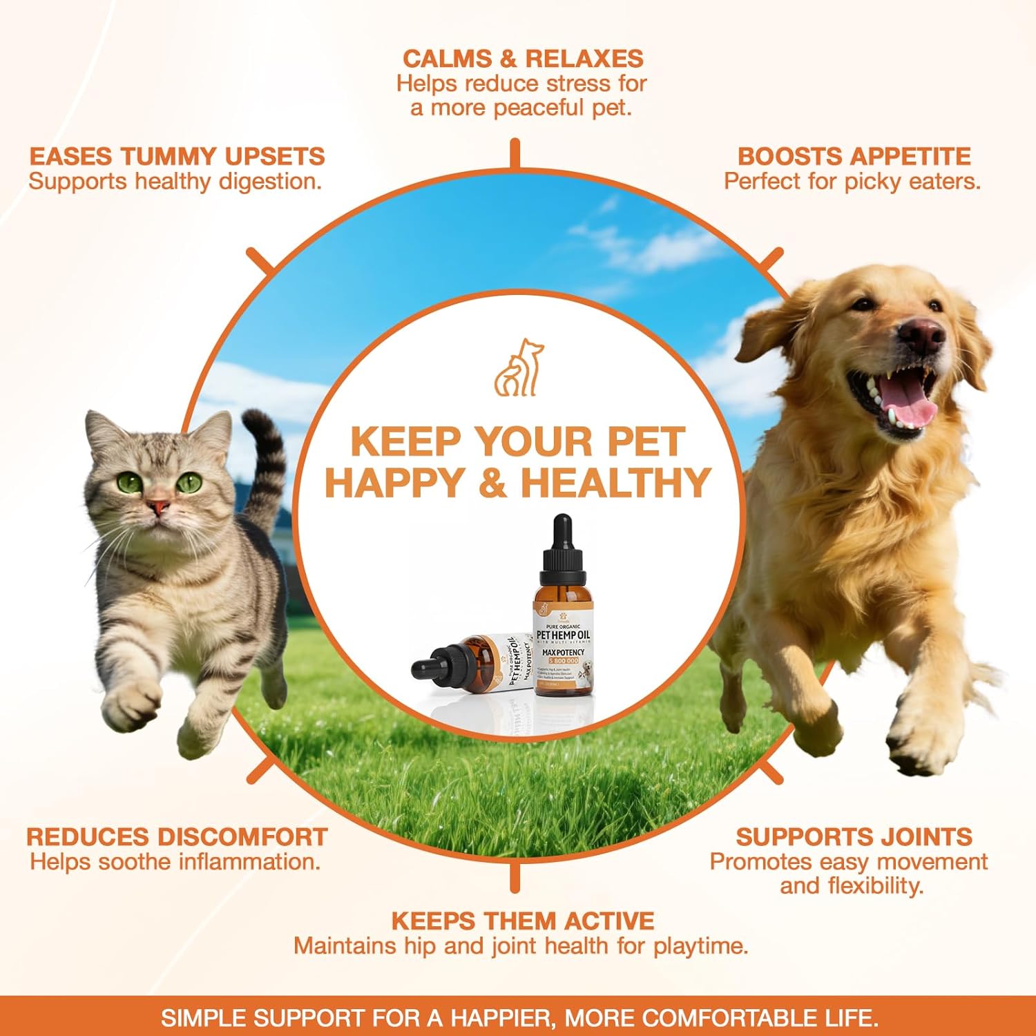 Неmp Oil for Dogs Cats (2-Pack), B0GVNK6SWG, Organic Dog Anxiеty Relief B0GVNK6SWG - Image 4