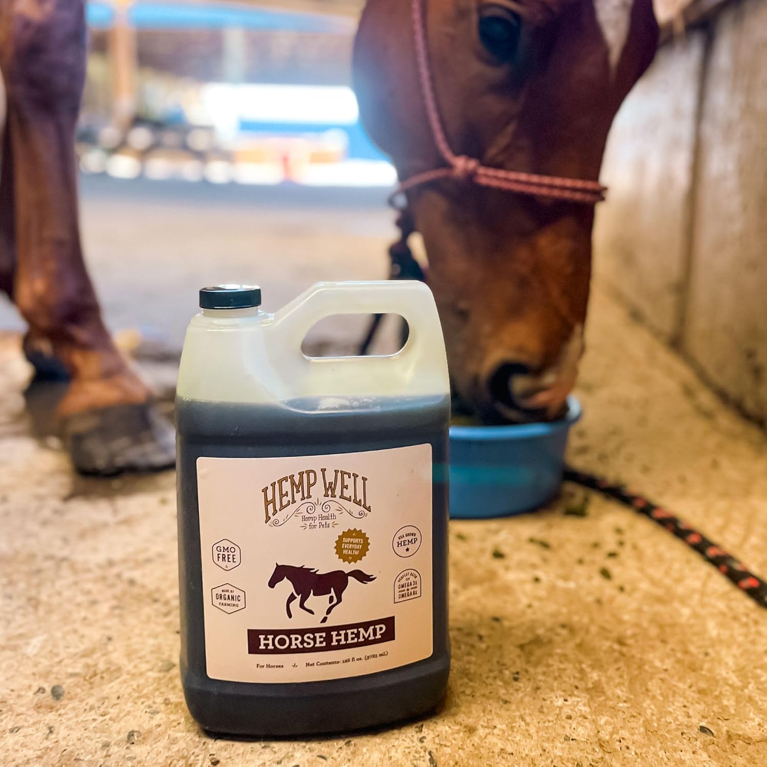 Hemp Well Thrive Oil for Horses, Everyday Supplement for Overall Health, Supports Hip, Joint, and Heart Health, Horse Joint Supplement, Organically Sourced Hemp Seed Oil- 1 Gallon - Image 4