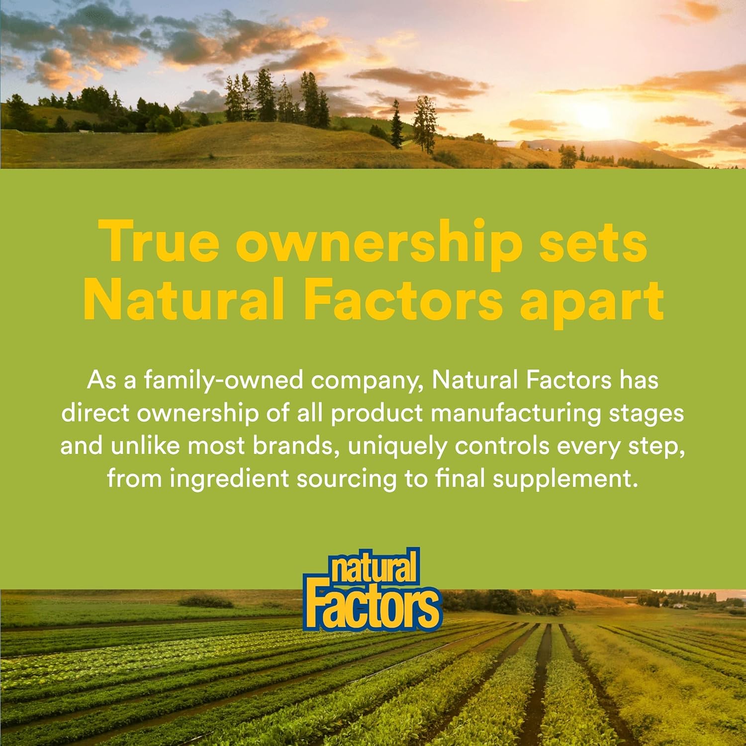 Herbal Factors Sleep Relax Formula by Natural Factors, Natural Sleep Aid with Valerian Root, Passion Flower and Skullcap, Non-GMO, 90 capsules (90 servings) - Image 7