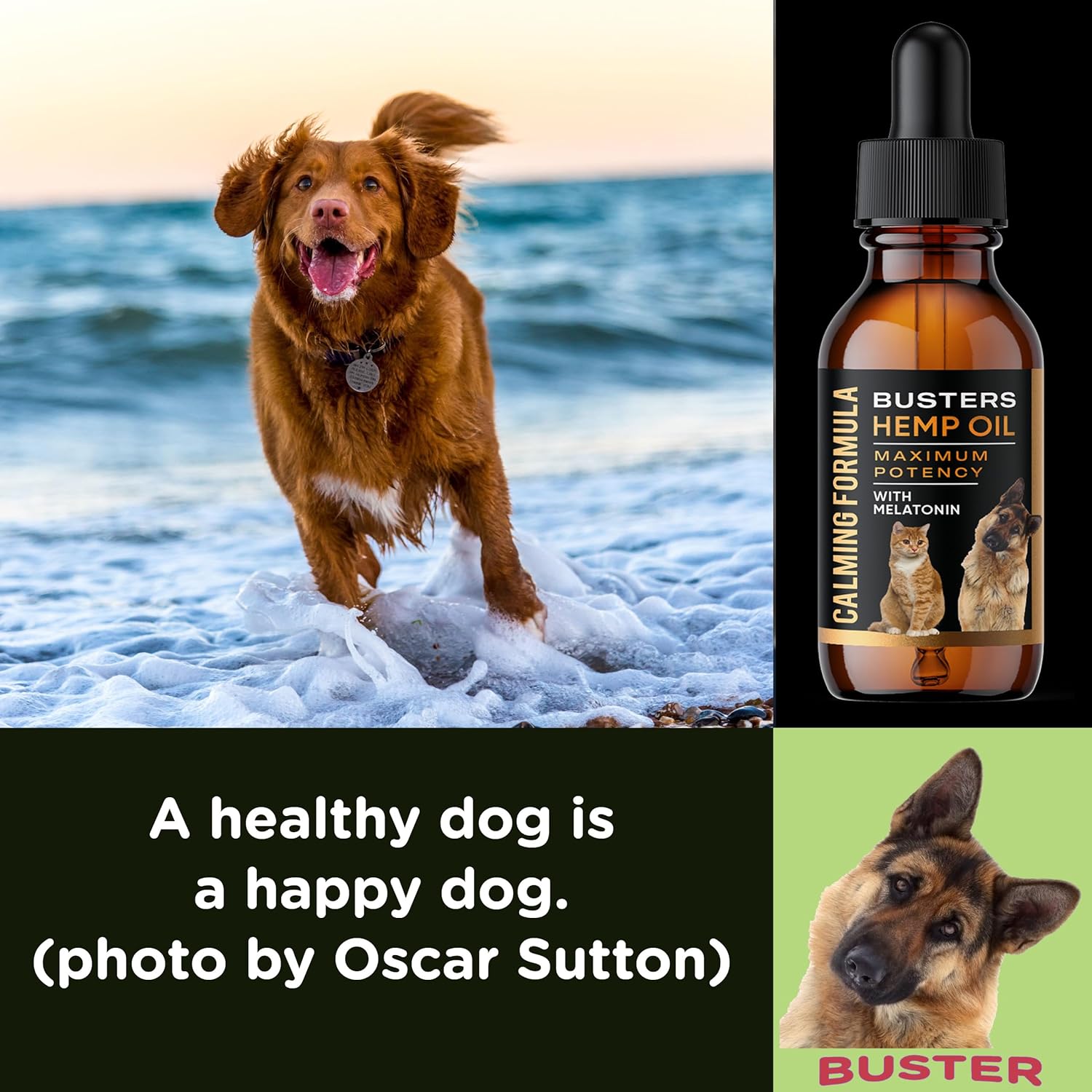 Buster's Hemp Oil for Dogs and Cats - Melatonin Calming Formula - 2-Pack Natural Pet Hemp Oil - Sleep Support Supplement - Image 7