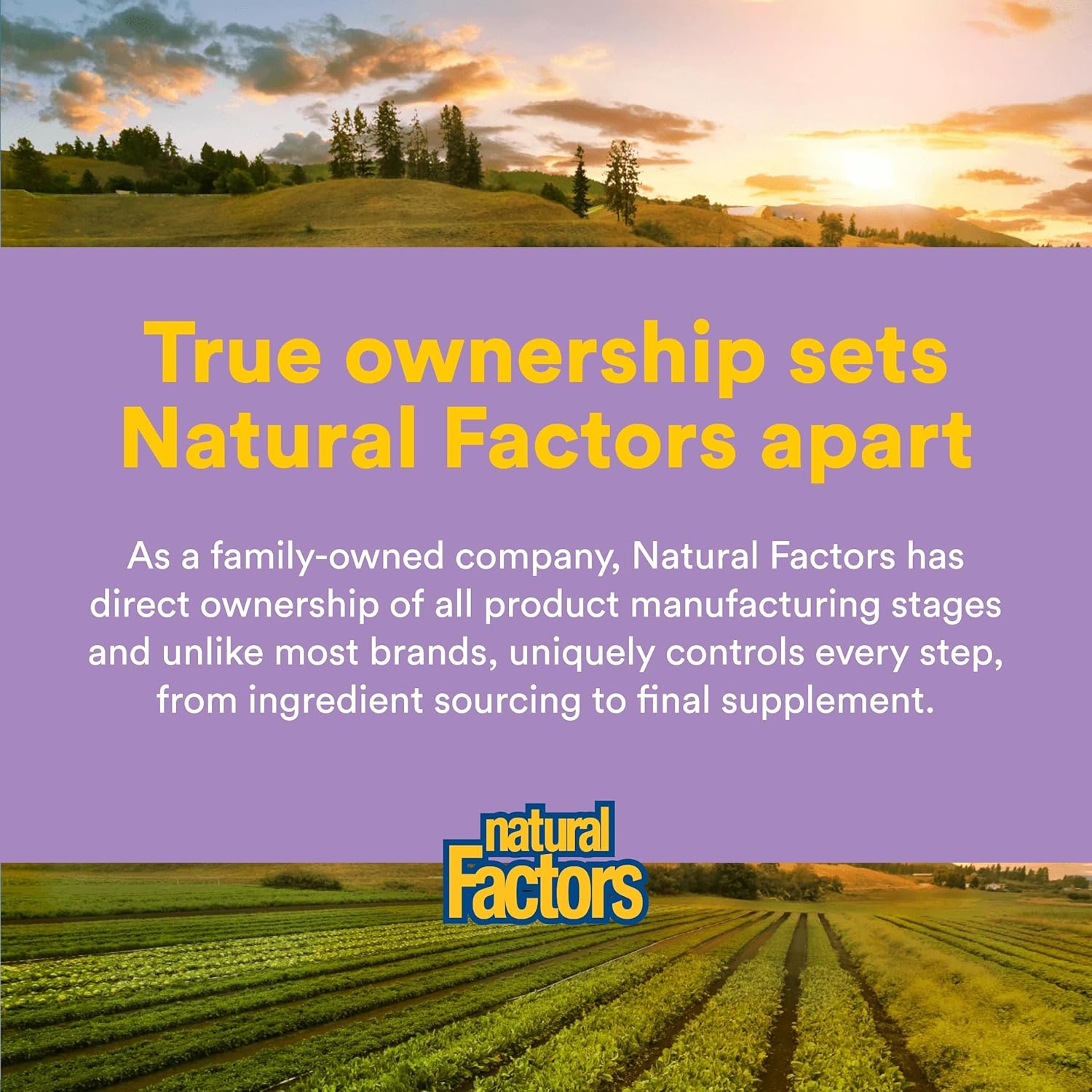 Natural Factors Pharma GABA - Dietary Supplement Supports Calm Sleep & Sleep Quality - Natural, Fast-Working Supplement Aids Focus & Brain Health - 60 Chewable Tablets (30 Servings) - Image 6