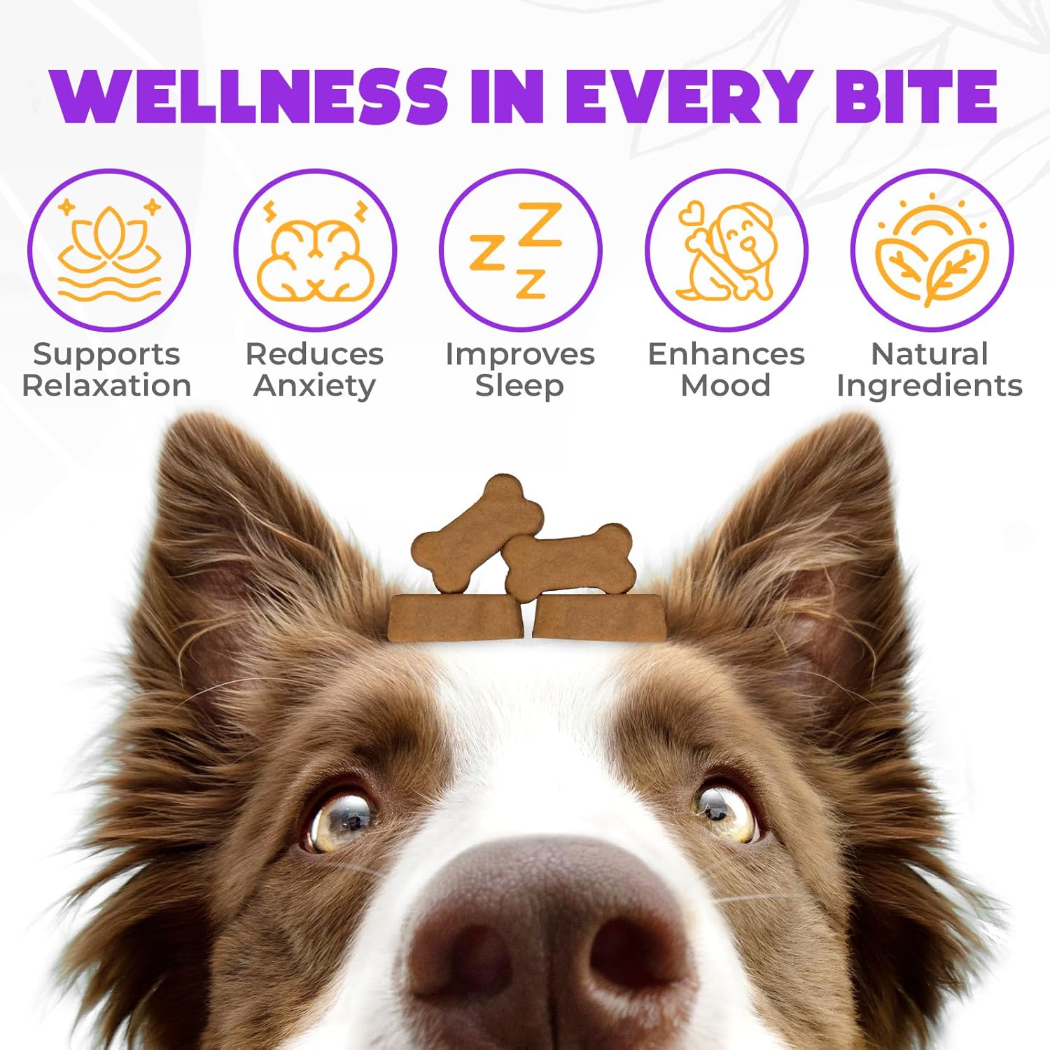 Hemp Calming Chews for Dogs Anxiety 60 pcs - Chicken Flavored - Dog Anxiety Relief - Dog Calming Chews - Melatonin for Dogs - for Stress, Travel, Check-up, Barking or Grooming - Dog Calming Treats - Image 2